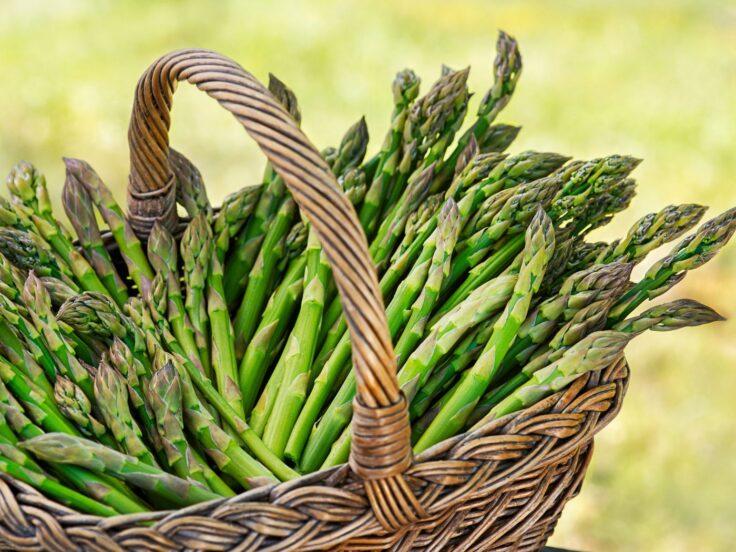 Asparagi: benefici, proprietà e controindicazioni da conoscere
