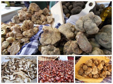 Fiera-nazionale-del-Tartufo-bianco-pregiato-Sant-Agata-Feltria
