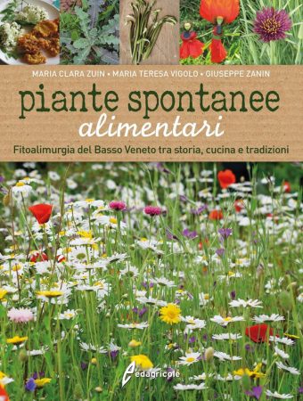Piante-spontanee-alimentari.-Fitoalimurgia-del-Basso-Veneto-tra- storia-cucina-e-tradizioni