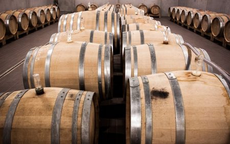 Vino-e-benessere-convegno-Dozza-BO