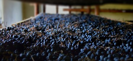 Anteprima Amarone 2013: la Cantina Accordini Igino tra i protagonisti