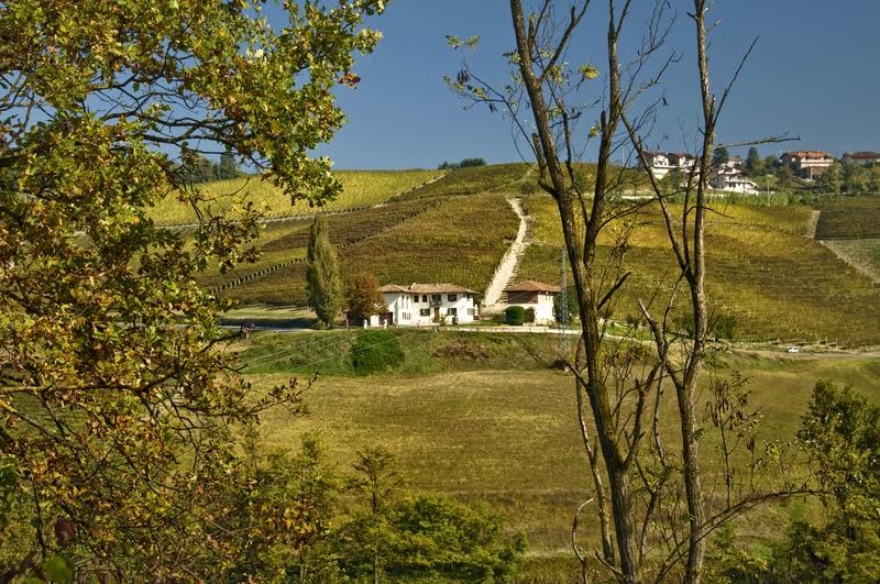 Poderi Colla compra la cantina e parte dei vigneti di Bricco Bompè di Madonna di Como