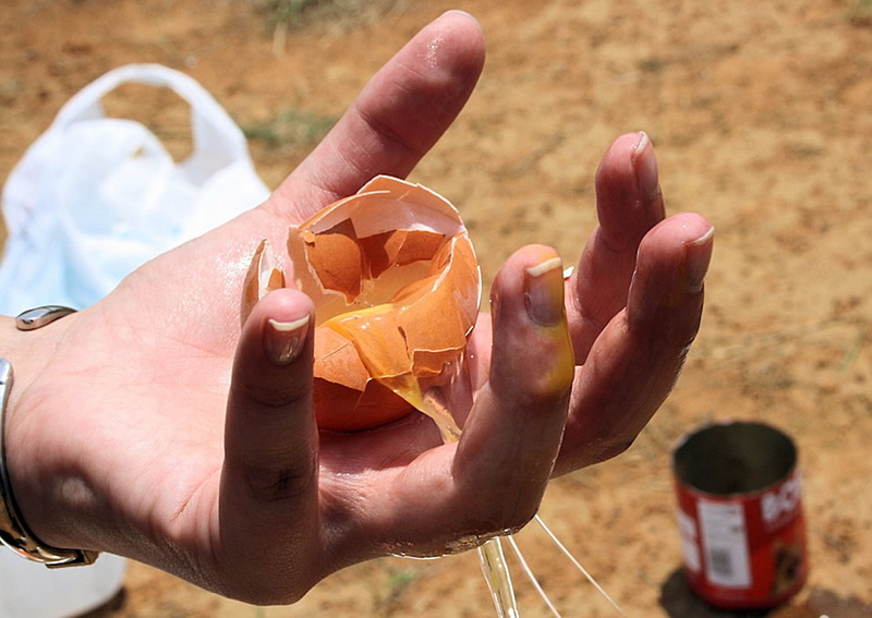 Spreco alimentare e cucina degli avanzi