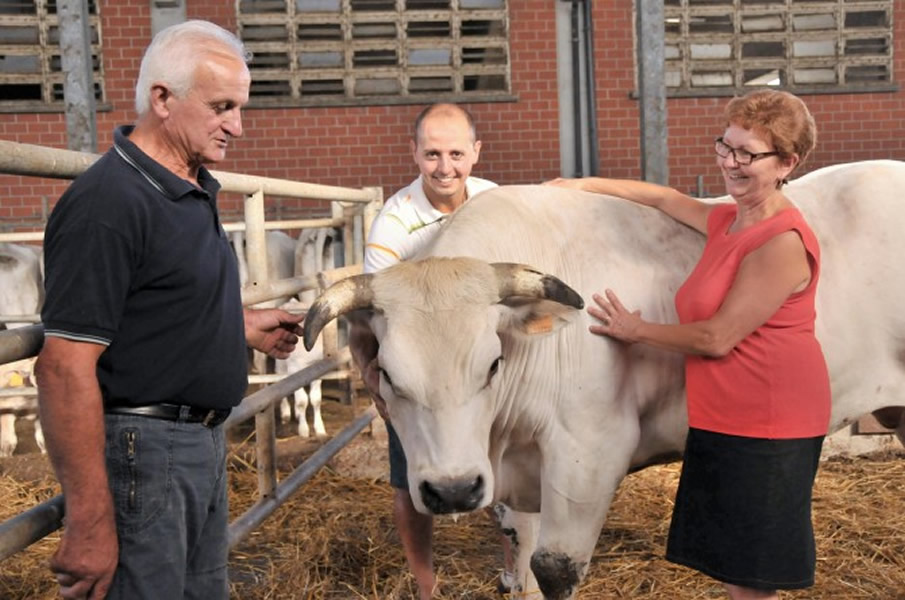 Intervista a Dario Perrucca, allevatore Cerutti Laura Maria Intervista a Dario Perrucca, allevatore Cerutti Laura Maria