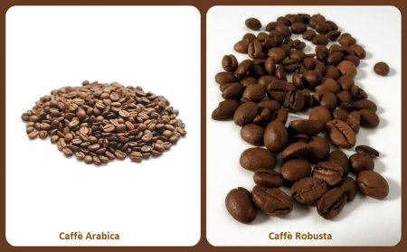 Caffè Arabica e Caffè Robusta: tutte le differenze Caffè Arabica e Caffè Robusta: tutte le differenze