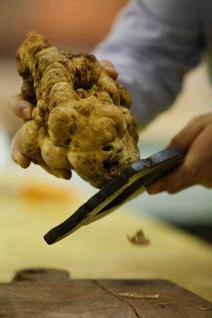 Tartofla Savigno 2017 - Festival del Tartufo Bianco