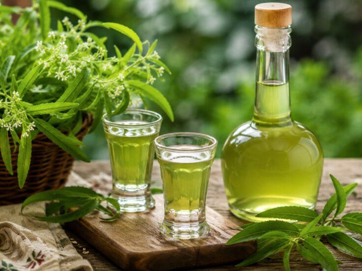 Liquore all'erba Luigia: ricetta e segreti del digestivo alla cedrin