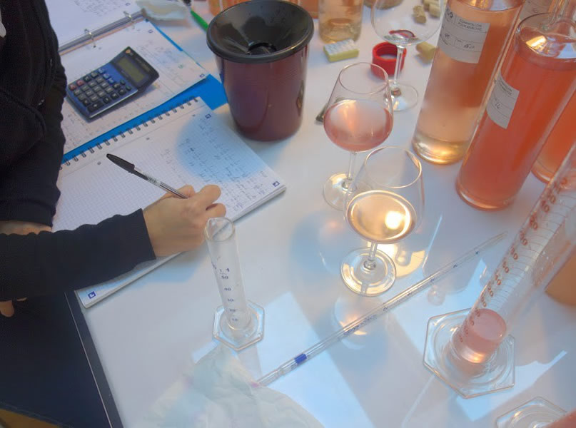 Elisabeth Gabay e la riscossa dei vini rosati Elisabeth Gabay e la riscossa dei vini rosati