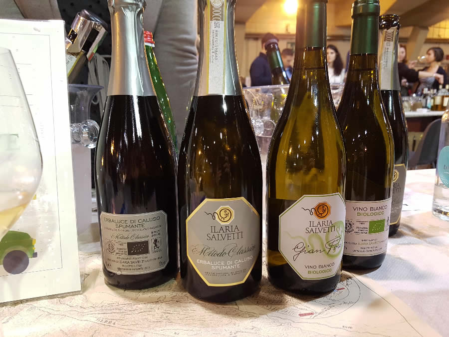 Erbaluce di Caluso di Ilaria Salvetti a Torino Beve bene Erbaluce di Caluso 2016 di Ilaria Salvetti