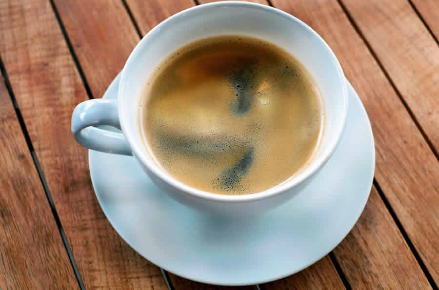 La Permacultura nel settore del caffè: come funziona