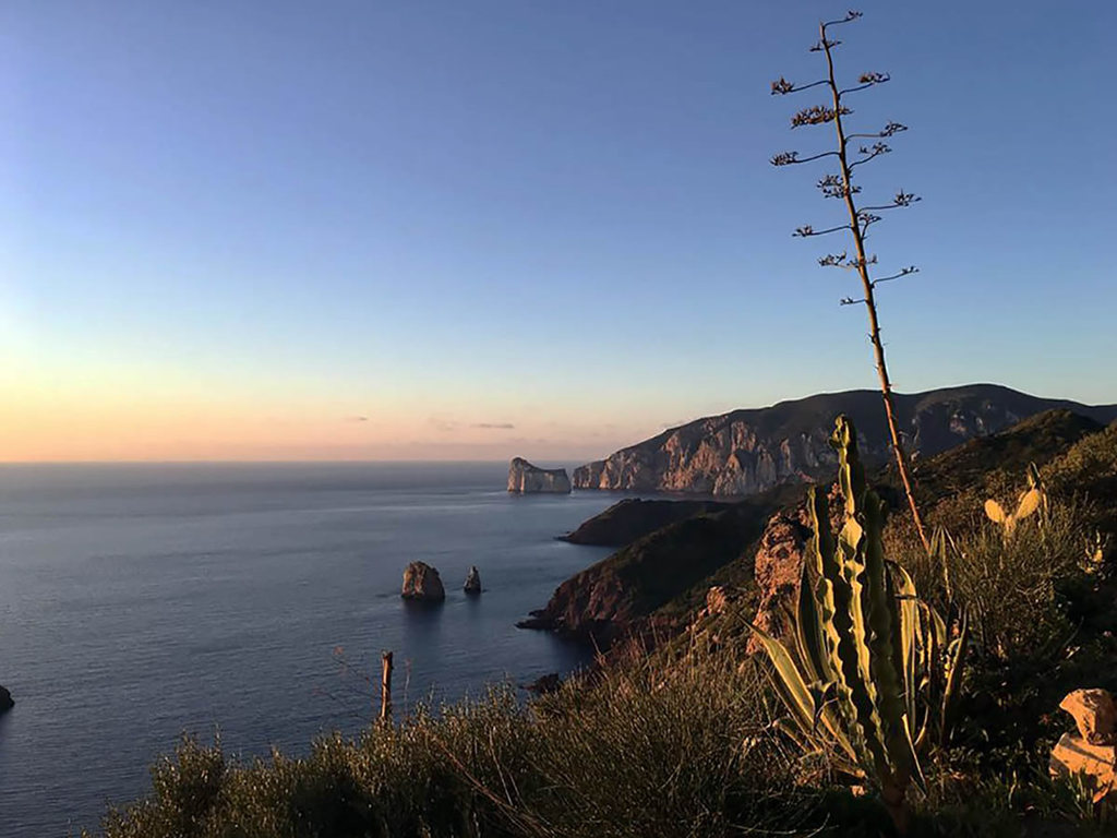Enoturismo in Sardegna: prospettive di una risorsa da valorizzare