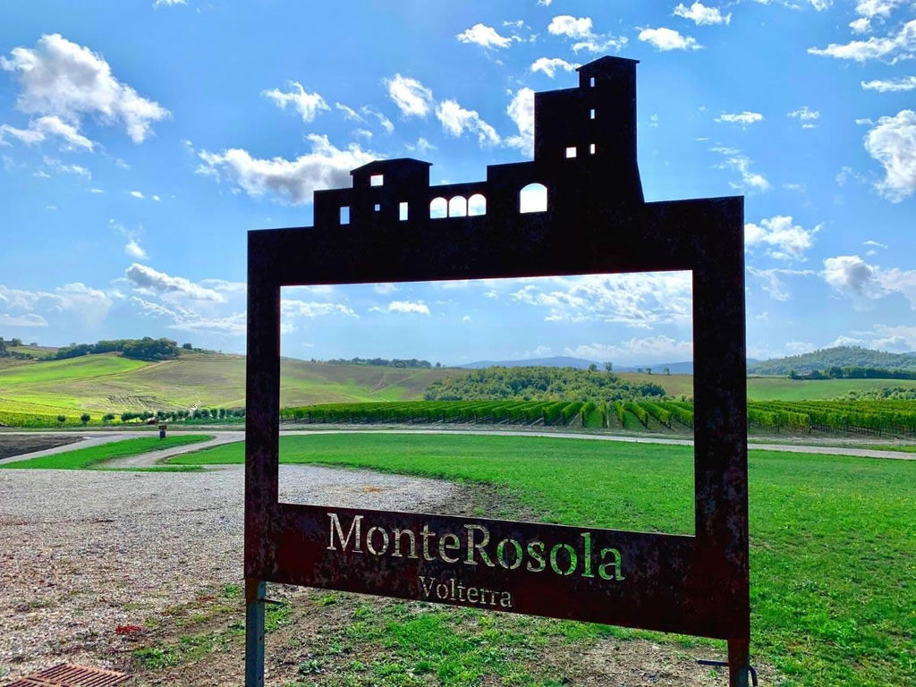 Vini di MonteRosola a Volterra