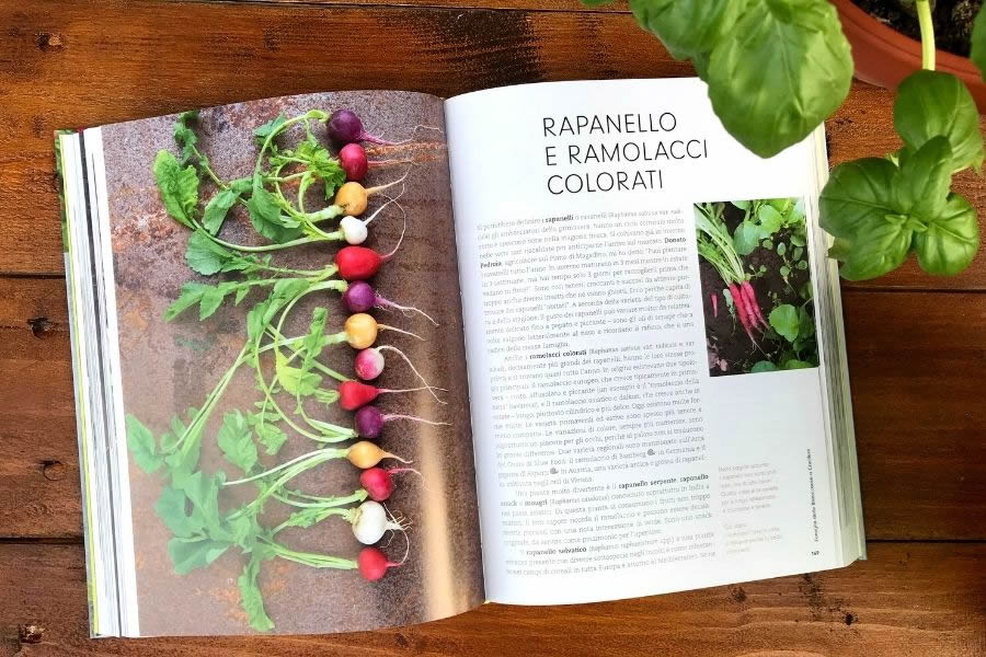 La mia cucina di primavera e d’estate, libro di Meret Bissenger La mia cucina di primavera e d’estate, libro di Meret Bissenger