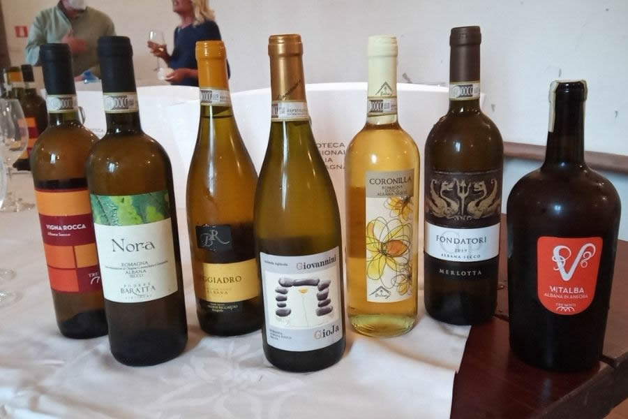 I migliori Albana secco di Romagna: premiati nel 2021 I migliori Albana secco di Romagna: premiati nel 2021