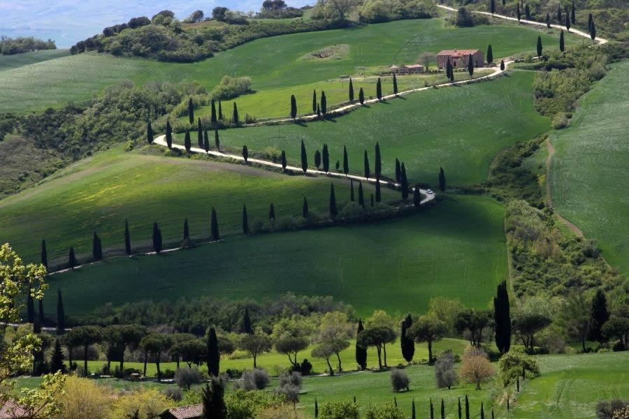 Degustazione di Luce 2018 di Tenuta Luce Vino Luce 2018 di Tenuta Luce