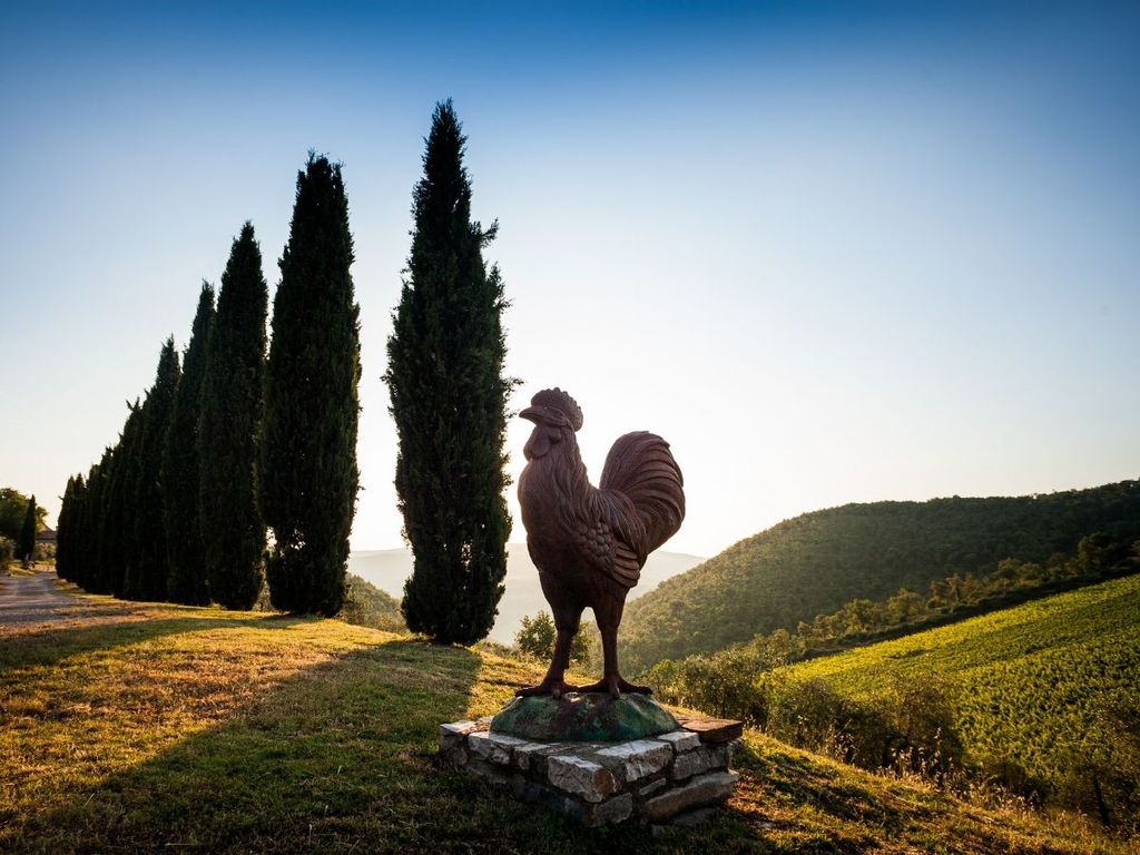 Querceto di Castellina: l'eleganza del Chianti Classico Querceto di Castellina: l'eleganza del Chianti Classico