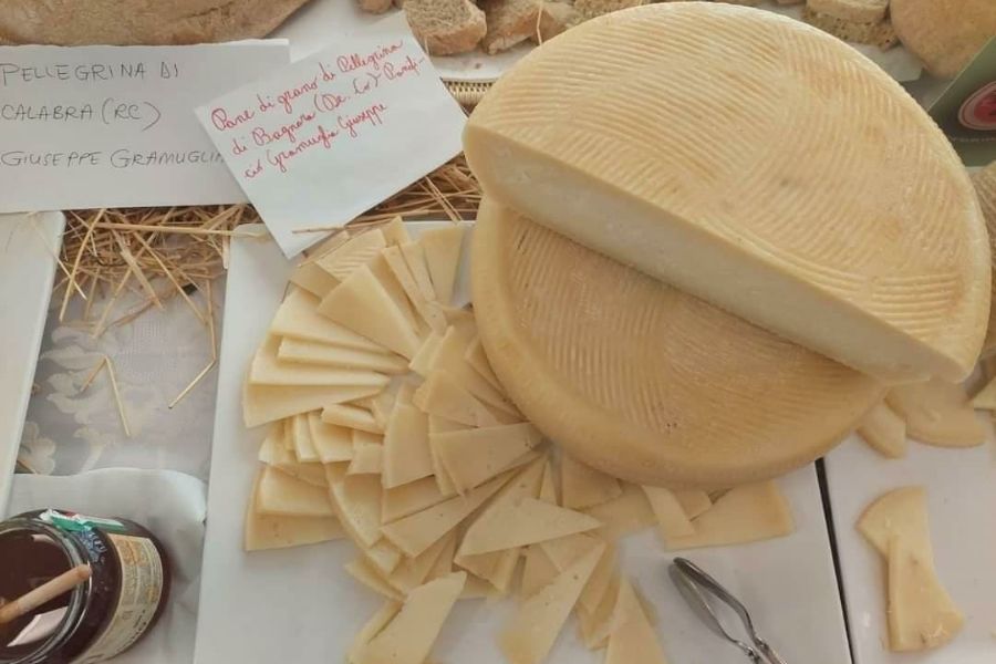 Formaggio Caprino nicastrese Calabnria