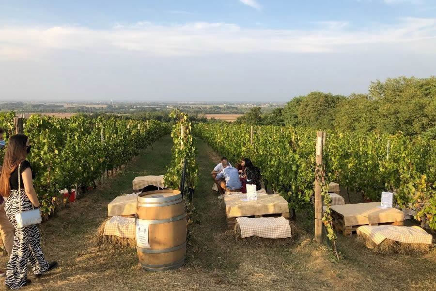Spumante Cà della Signora di Poderi di San Pietro (Foto © Poderi di San Pietro).