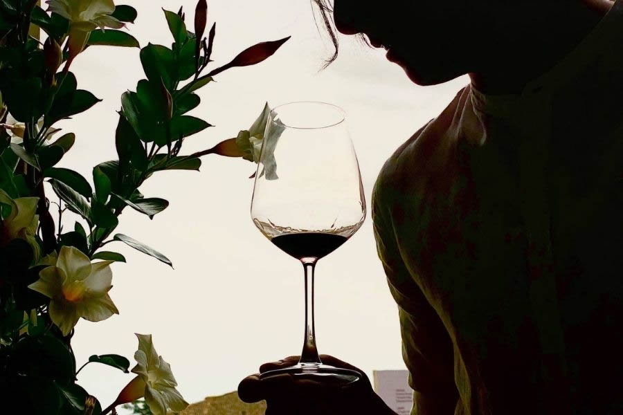 Festival Only Wine 2022 a Città di Castello Only Wine 2022: Città di Castello riapre al Festival del vino