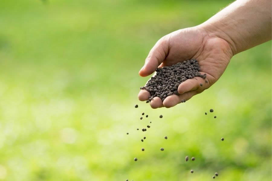 Regolamento sul biologico: obiettivi, controlli e sanzioni Obiettivi del nuovo Regolamento sul biologico