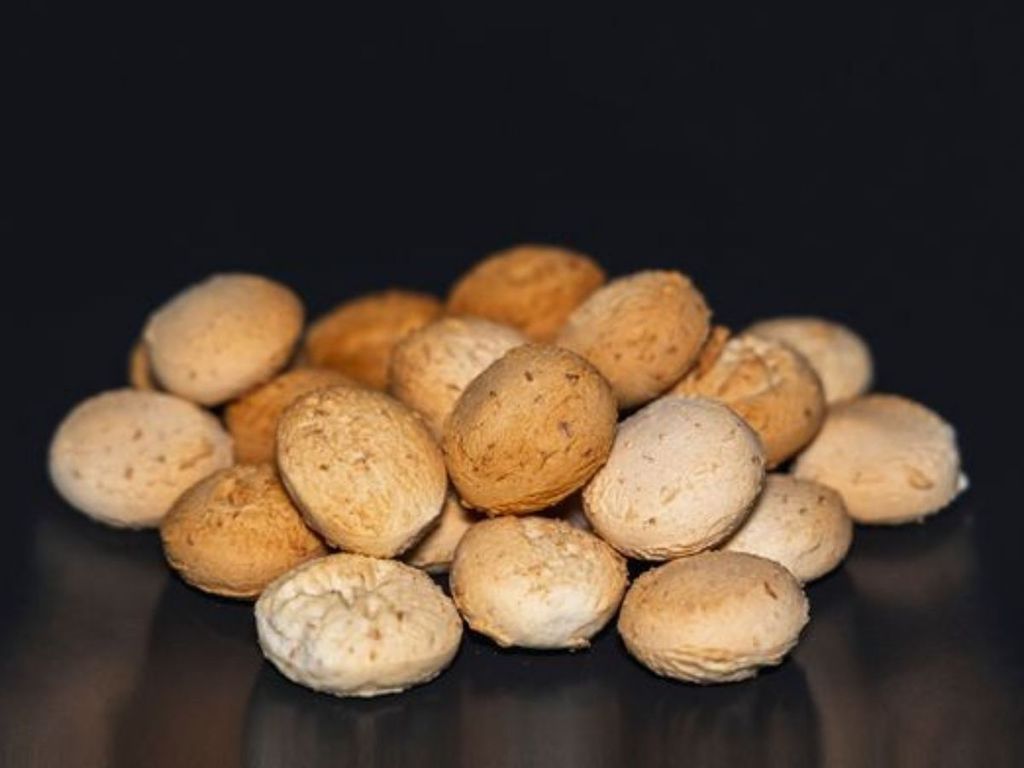 I Biscotti del Gino: coccole di Genuina Pet Food per il cane I Biscotti del Gino: coccole di Genuina Pet Food per il cane
