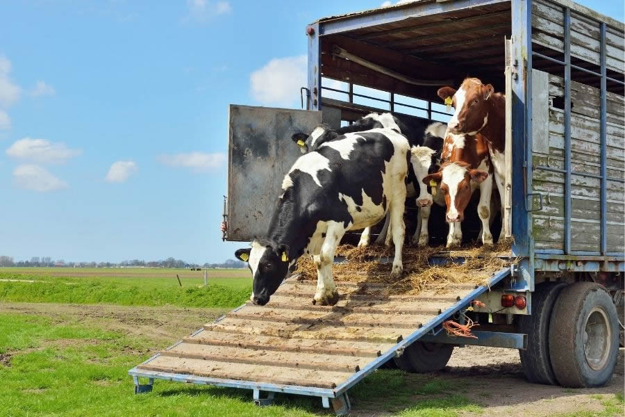 PNRR in agricoltura: obiettivi conseguiti e da conseguire PNRR in agricoltura: obiettivi conseguiti e da conseguire