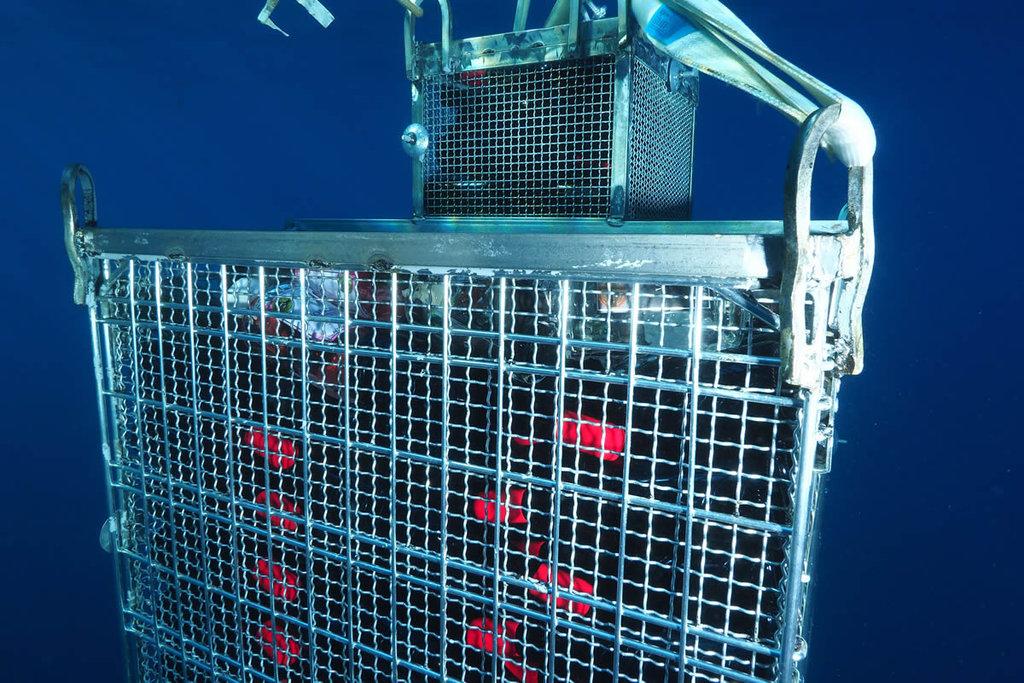 Vini dell’Etna affinati in mare: i dettagli del progetto Orygini Vini dell’Etna affinati in mare: i dettagli del progetto Orygini