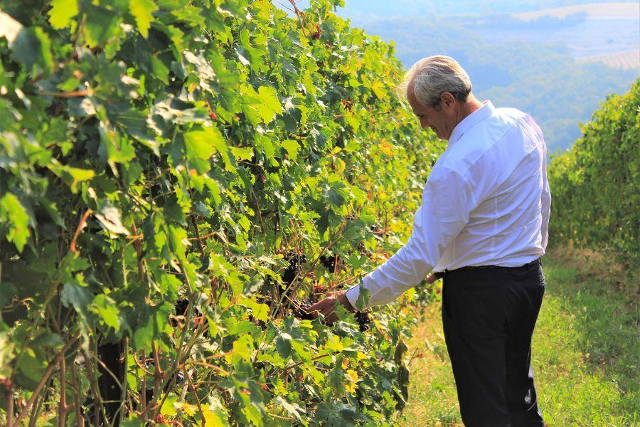 Il rosso dal doppio appassimento: Calinverno di Monte Zovo