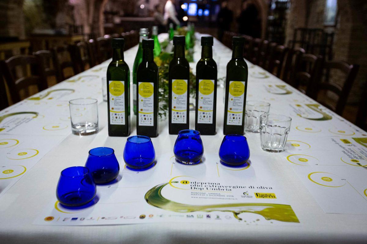 Anteprima Olio Dop dell'Umbria 2023: date e programma