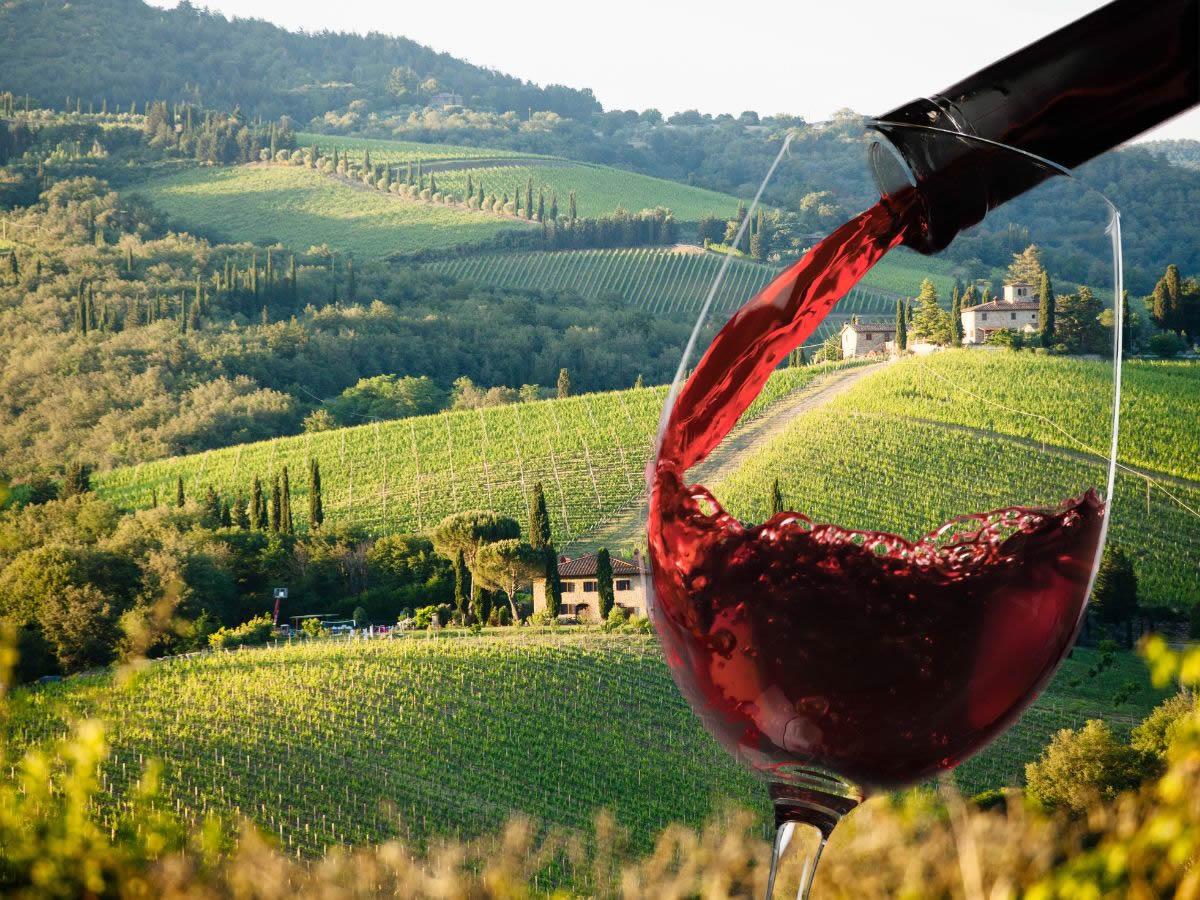 Chianti Classico Collection 2023: le novità di quest'anno