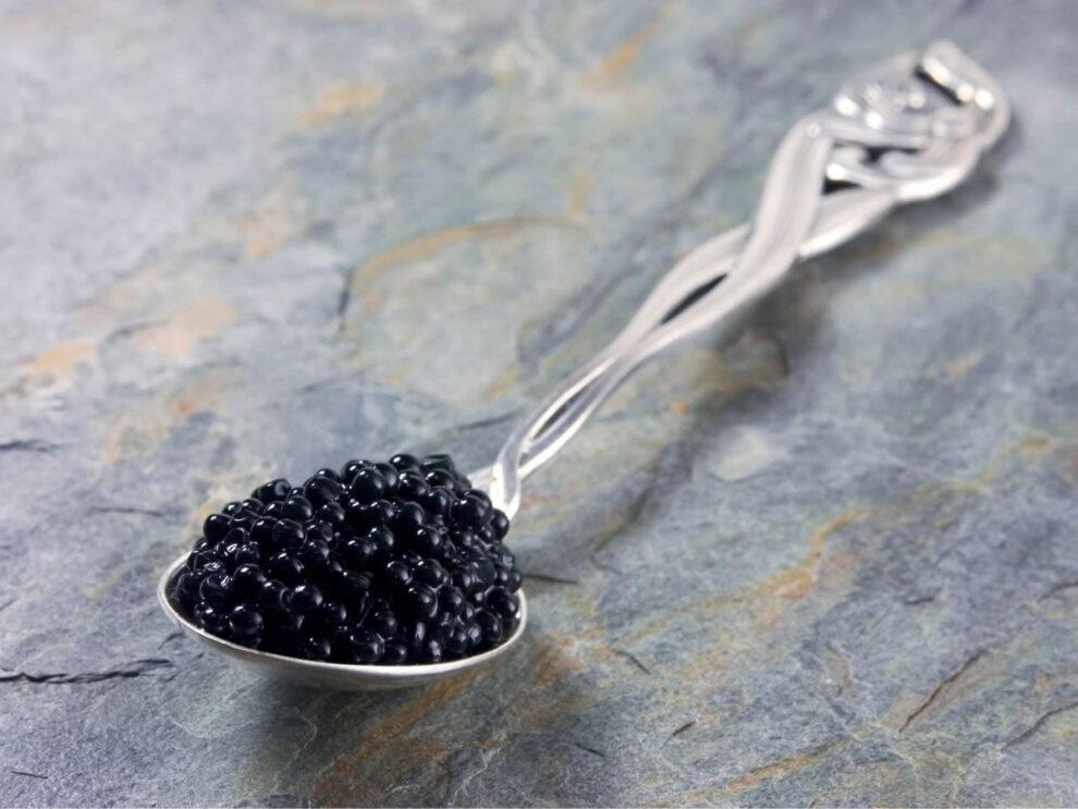 Caviale ferrarese: storia, ricetta e dove si può mangiare