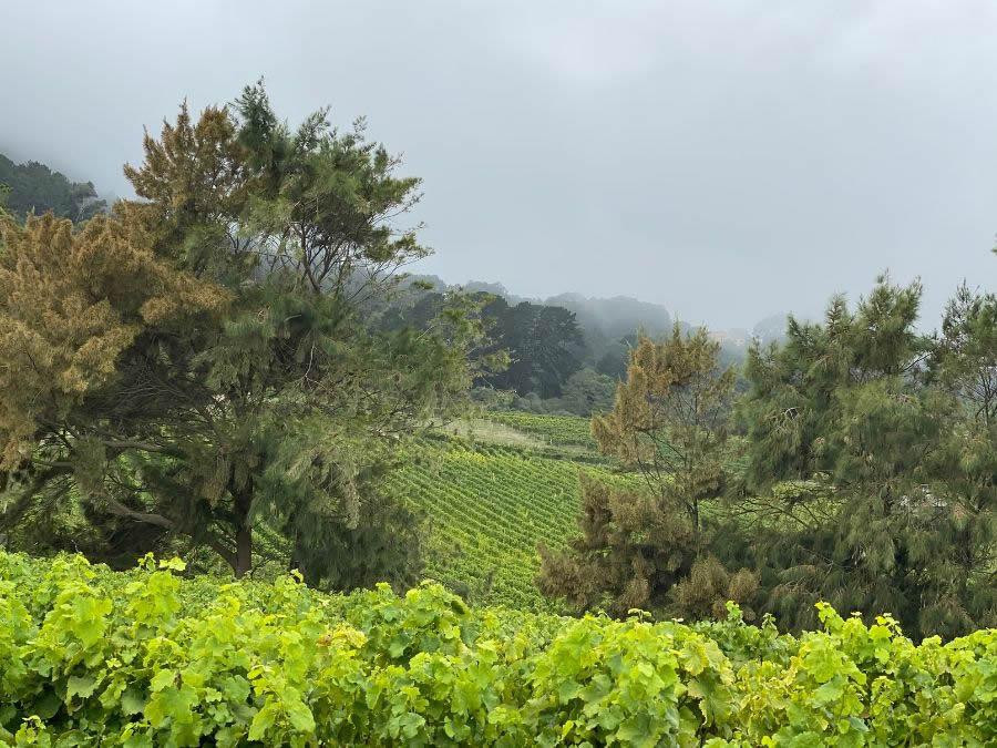 Concours Mondial du Sauvignon 2023