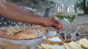 Wine Tour delle Marche: 16 tappe per promuovere cibo e vino