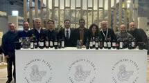 Montecucco Doc: territorio, caratteristiche e degustazione