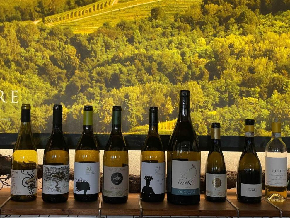 Sottozona Savorgnano: area e caratteristiche del vino