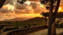 Terra di Monteverro 2019: un racconto della Toscana glocal