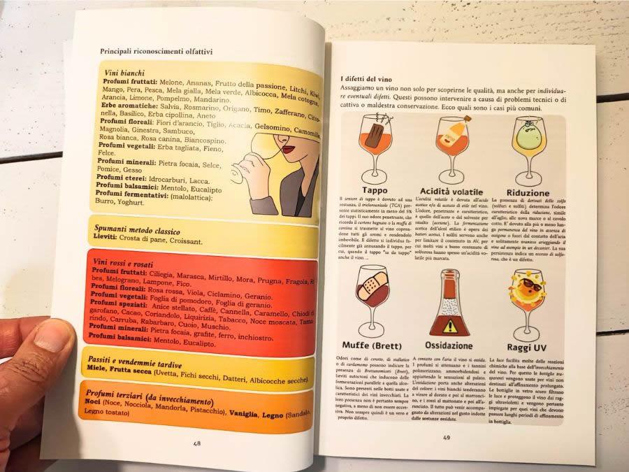 Recensione libro Conoscere il vino, di Marcello Reder Recensione libro Conoscere il vino