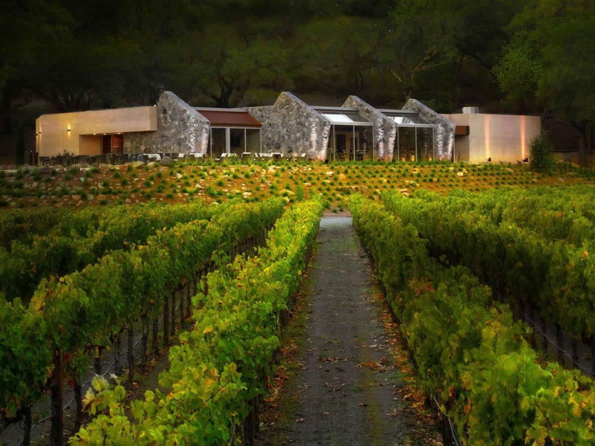 Stag’s Leap Wine Cellars: storia della cantina californiana