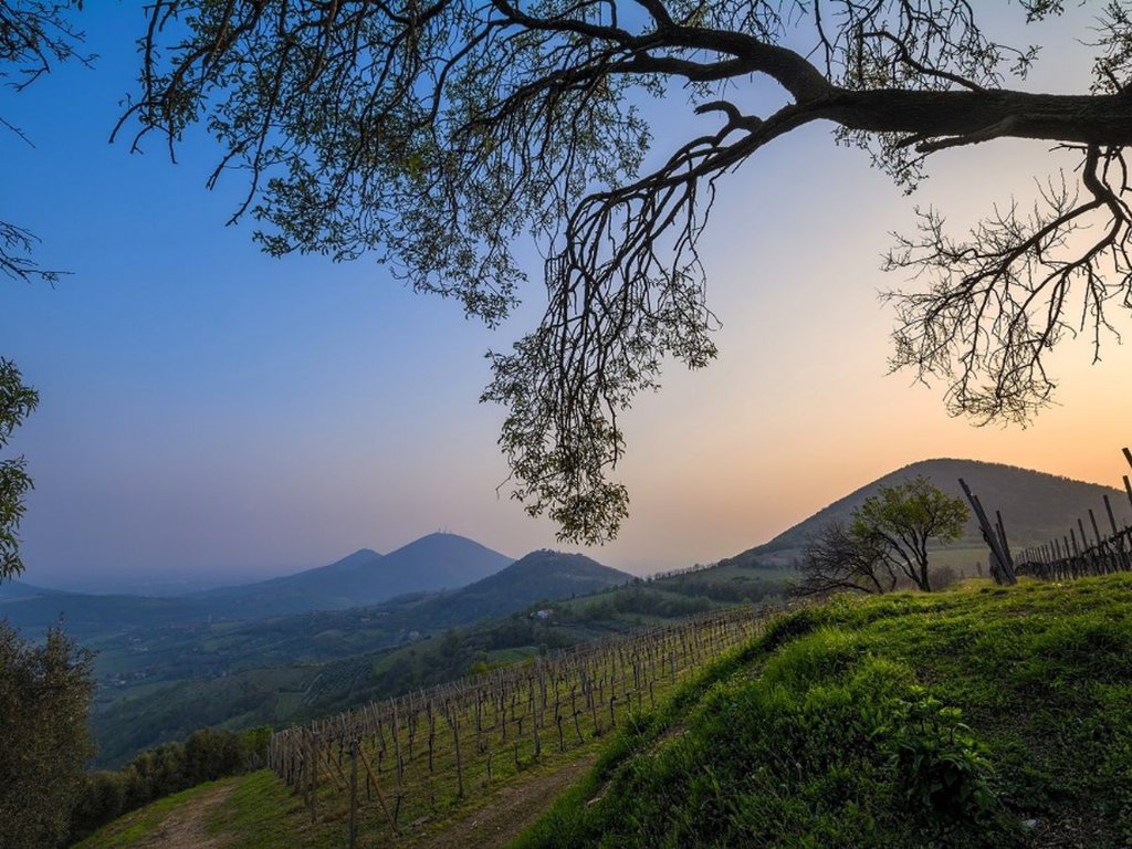 Weekend sui Colli Euganei, tra gusto, storia, sport e relax
