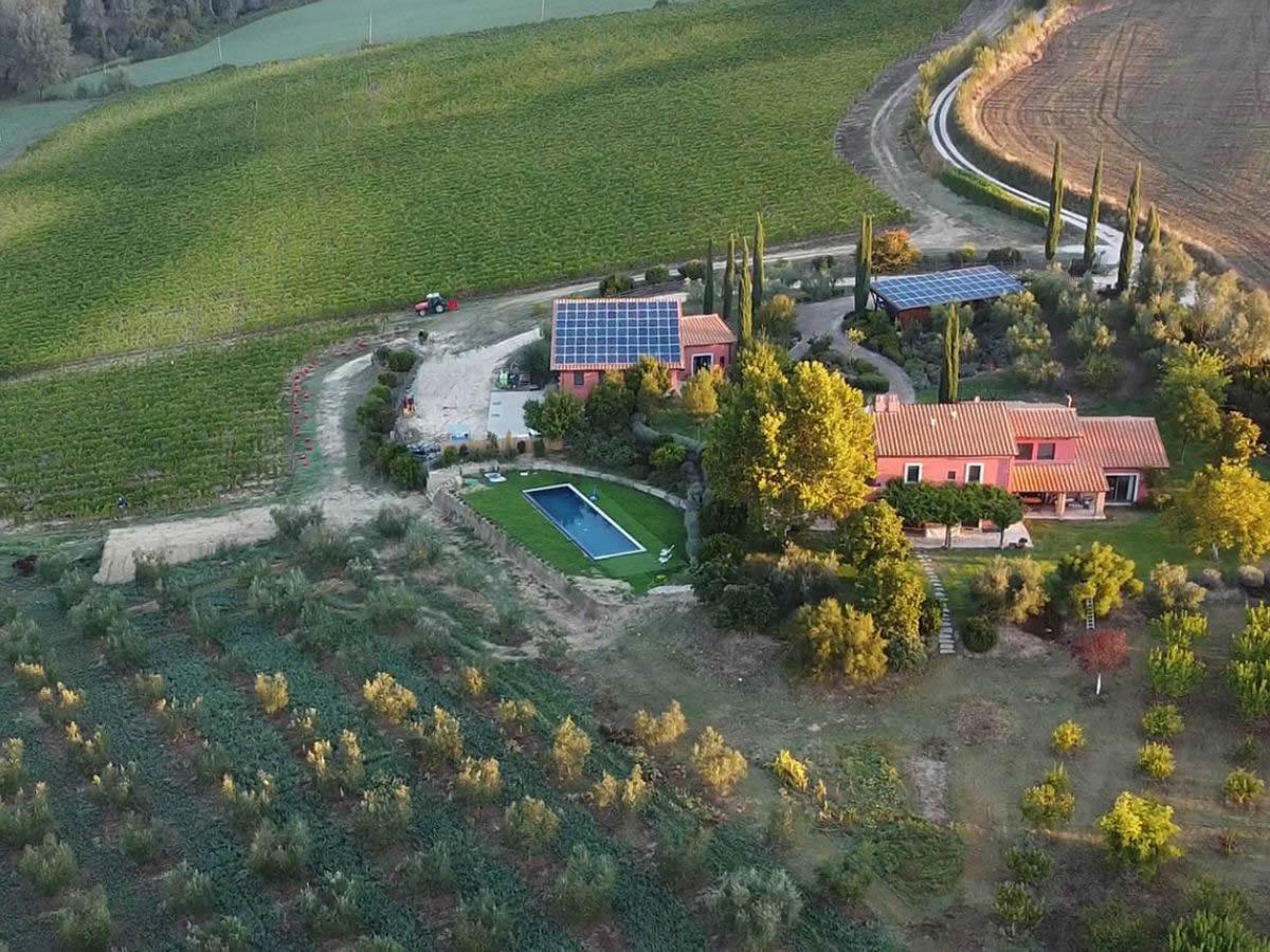 Cantina Le Madeleine: i vini della famiglia D'Alema
