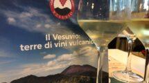 Vini del Vesuvio: storia, caratteristiche e tipologie