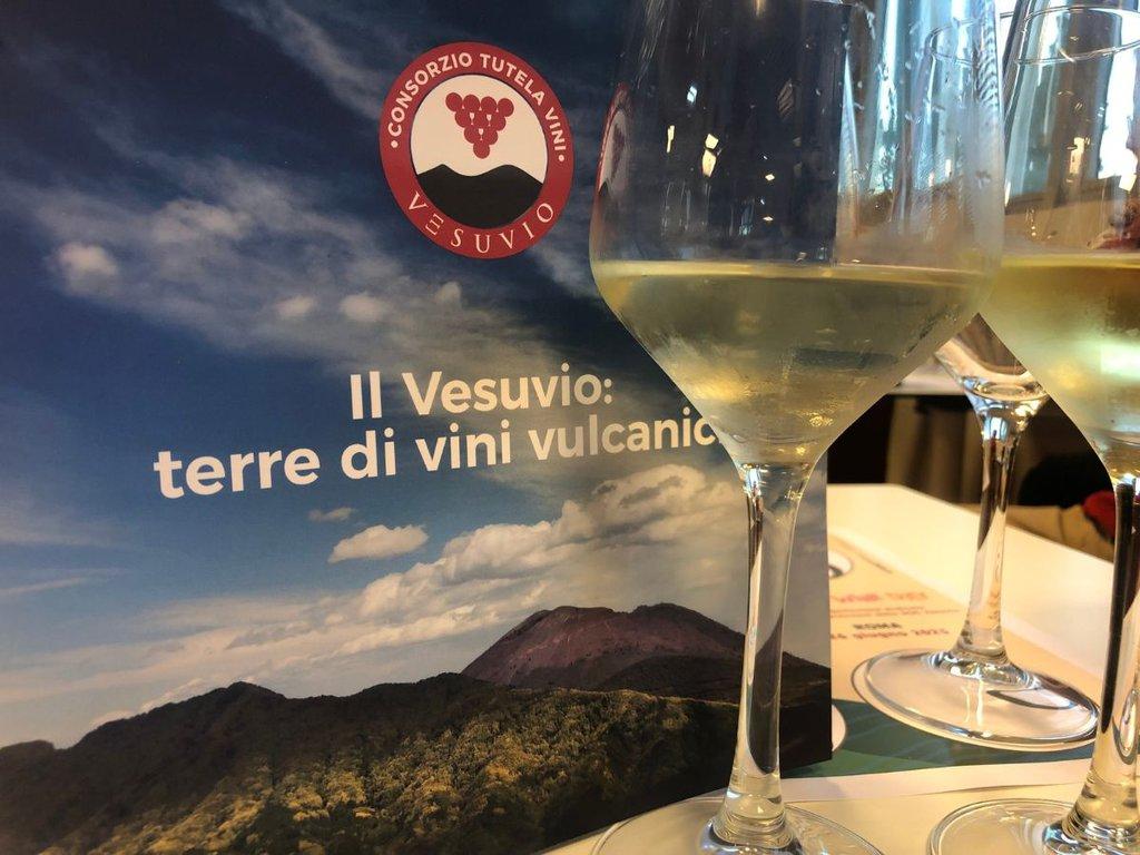 Vini del Vesuvio: storia, caratteristiche e tipologie