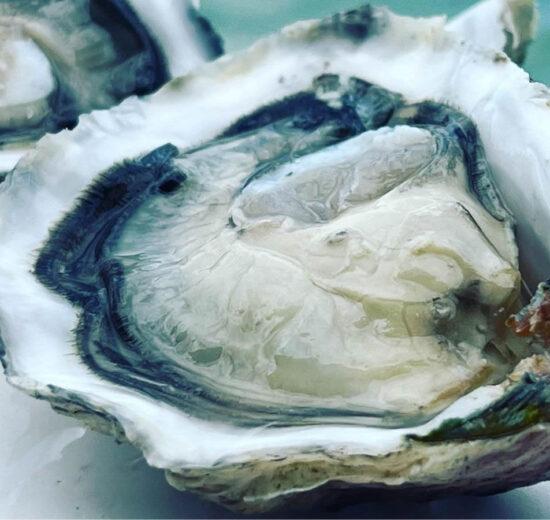 Ostriche rosa del Delta del Po, la storia di Alessio Greguoldo