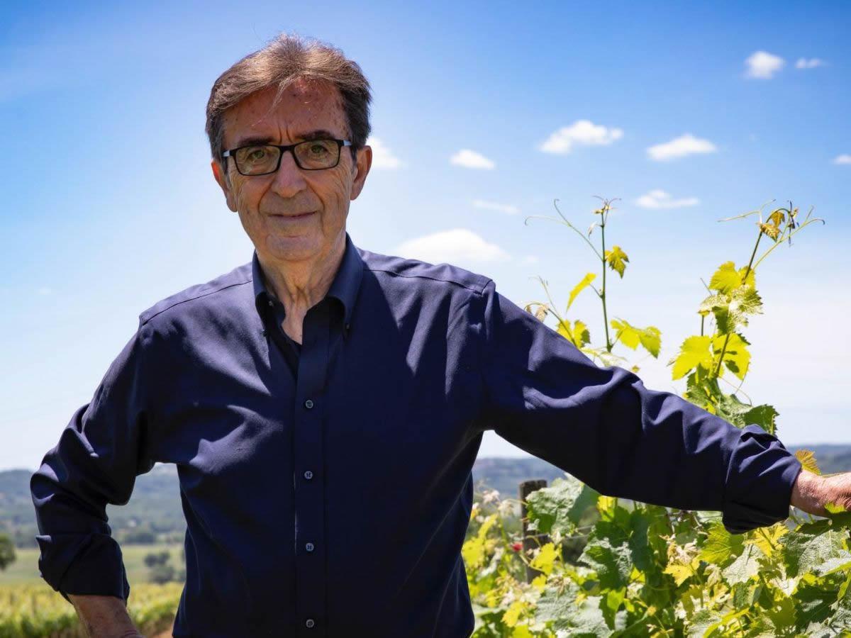 Intervista a Riccardo Cotarella: piantata una vigna in Vaticano