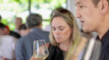 Abruzzo Wine Academy: a scuola di vini abruzzesi
