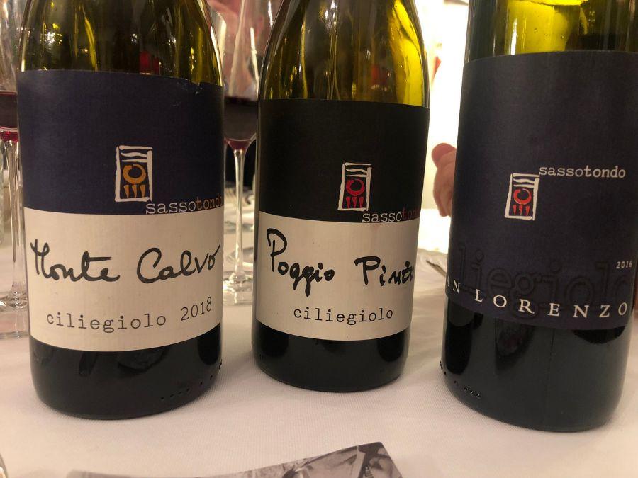 I vini di Sassotondo presentati a Roma