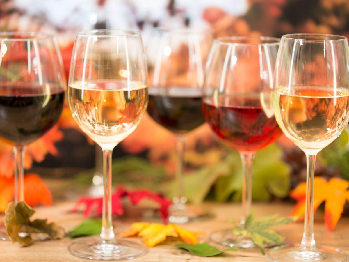 Guida Cantine d'Italia 2024 di Go Wine