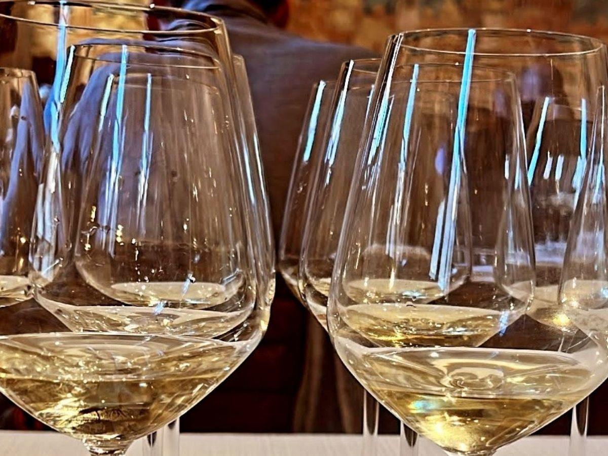 Anteprima 2024 Vernaccia di San Gimignano: tutte le novità