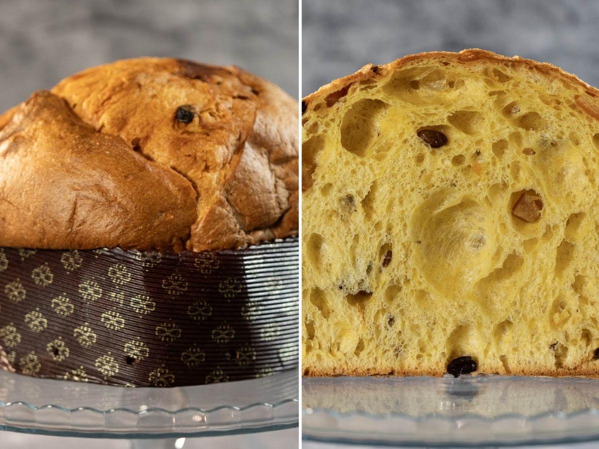 Top Ten Panettoni: I classificato Rubicondo Pasticceri Top Ten Panettoni: I classificato Rubicondo Pasticceri