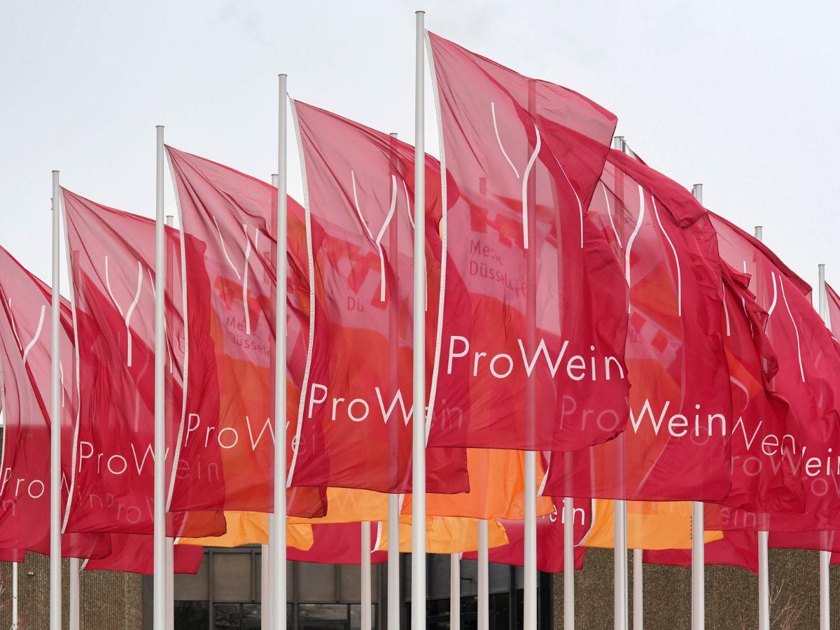 ProWein 2024 Düsseldorf: focus e novità di quest'anno